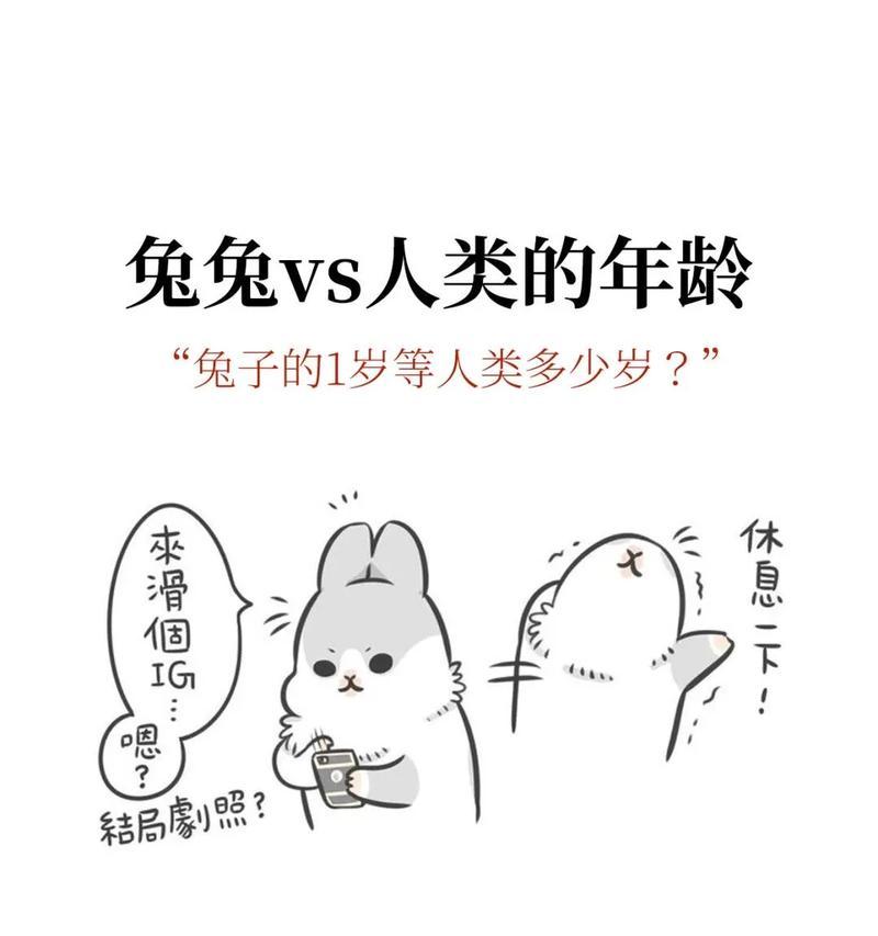 兔年养兔必看（了解兔兔行为，做个贴心养主