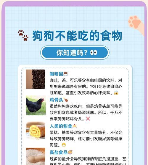 狗狗到陌生环境多久不吃饭？（探讨狗狗适应