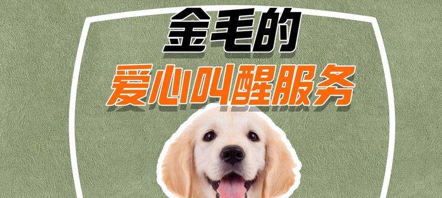 金毛狗舒适吹空调的时间和方法（了解金毛狗对空调的适应能力以及正确使用方法）(图4)