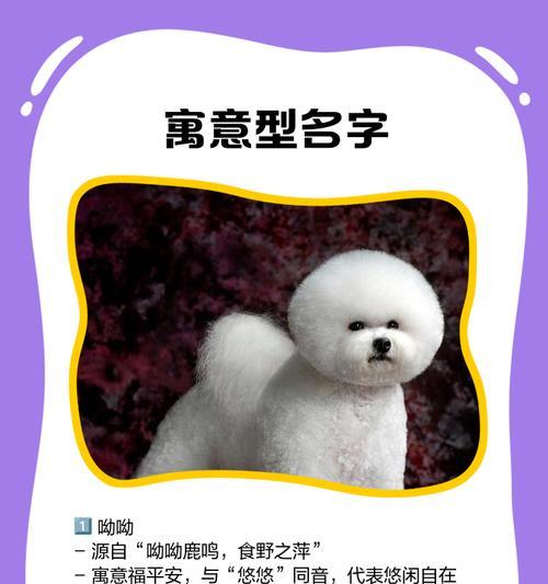 搞笑又合适的比熊狗名,让你笑个够!(避开尴尬,与狗名禁忌保持距离)(图2) 搞笑又合适的比熊狗名,让你笑个够!(避开尴尬,与狗名禁忌保持距离)(图2)