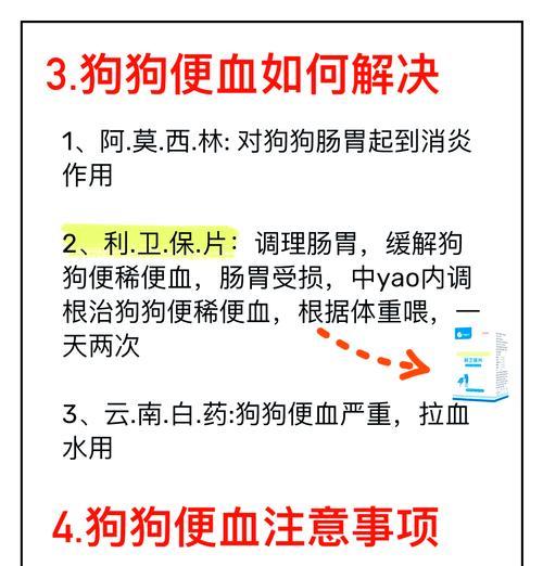 狗狗又腹泻了怎么办？（了解腹泻的原因及简单应对方法）(图2)