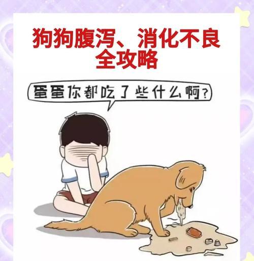 狗狗又腹泻了怎么办？（了解腹泻的原因及简单应对方法）(图4)