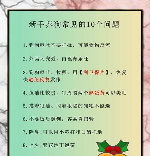 狗狗又腹泻了怎么办？（了解腹泻的原因及简单应对方法） - 新生家伴