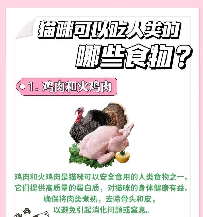 猫咪的饮食禁忌与药品安全（探讨猫咪可食用的人类食物及不能食用的药品，）(图1)