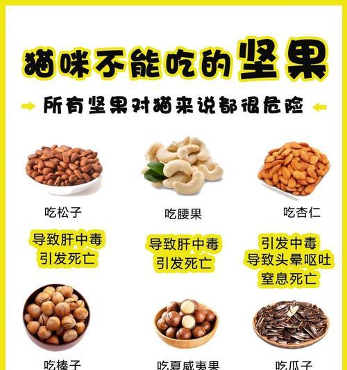 猫咪的饮食禁忌与药品安全（探讨猫咪可食用的人类食物及不能食用的药品，）(图2)