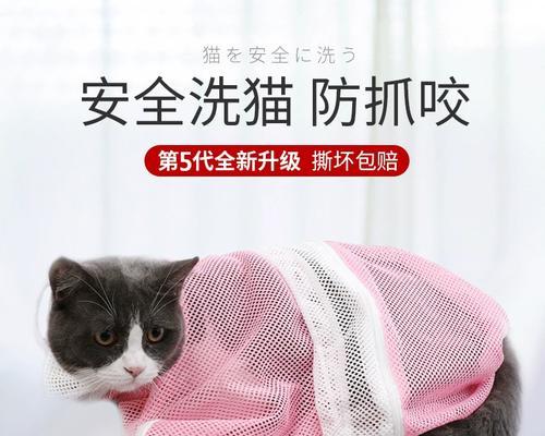 猫洗澡的正确方法与注意事项（选择适合猫洗澡的产品和技巧）(图1)