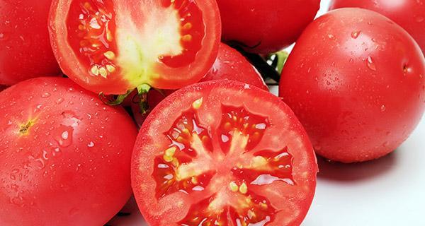 如何提高公猫的精子质量（有效饮食和生活方式，）(图2)