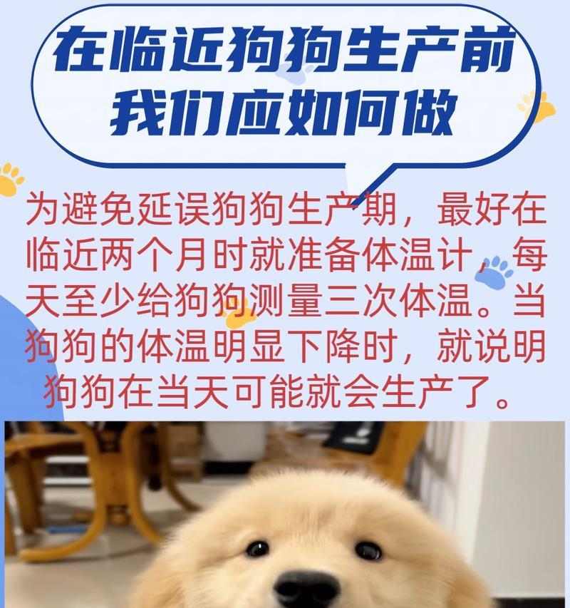 小狗怀孕20多天的是什么？（揭秘小狗早期怀孕的迹象和护理方法）(图2)