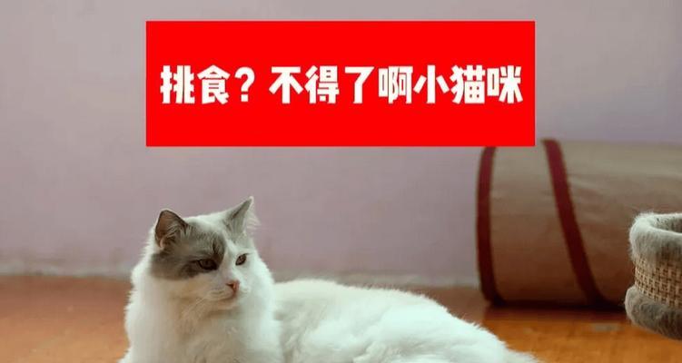探究猫咪挑食行为的原因（为什么猫咪喜欢挑食？一起来了解吧！）(图2)