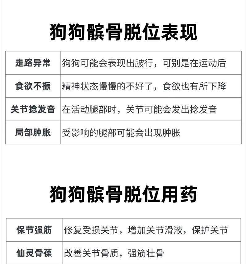 狗的预防性药物使用指南（了解狗需要的预防性药物，宠物健康的关 - 新生家伴