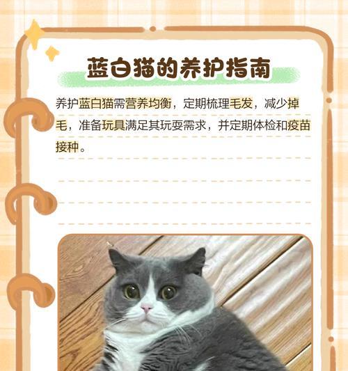 蓝猫与英短蓝猫（解读猫界蓝色系的两个代表品种） - 新生家伴