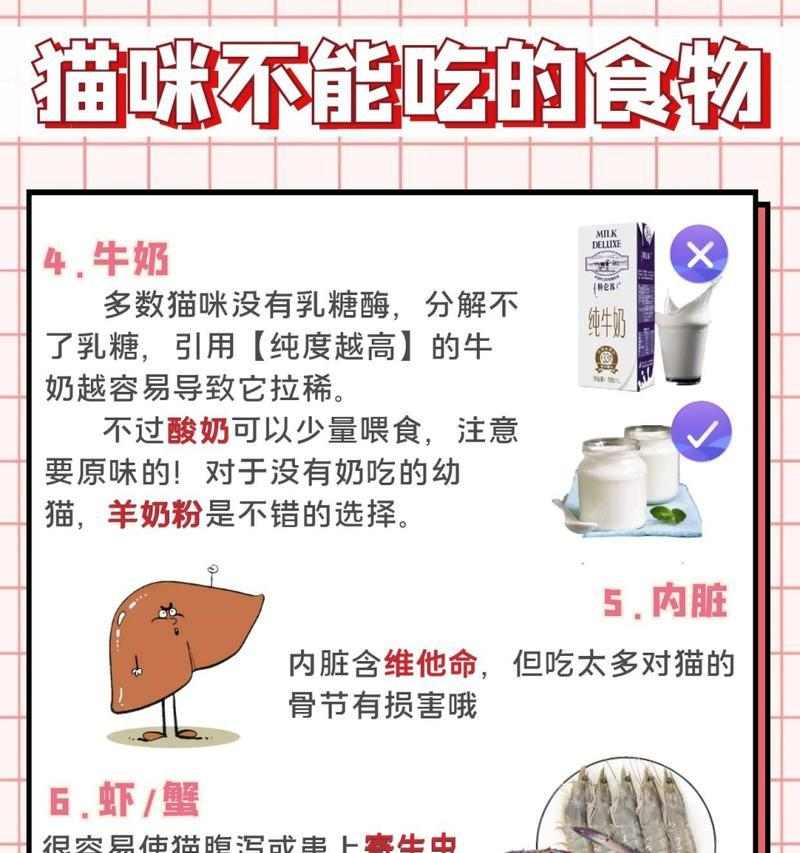 猫咪的饮食禁忌与药品安全（探讨猫咪可食用的人类食物及不能食用的药品，）(图4)