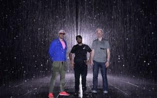 通体黑色的狗品种介绍(揭秘黑色狗的魅力与特点)(图1) 通体黑色的狗品种介绍(揭秘黑色狗的魅力与特点)(图1)