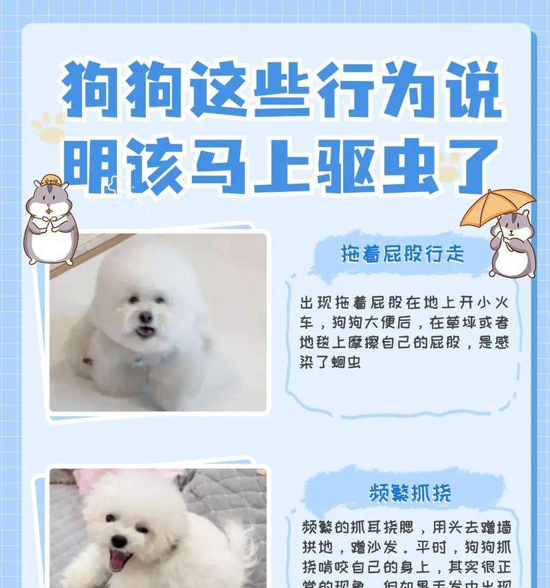 通体黑色的狗品种介绍(揭秘黑色狗的魅力与特点)(图2) 通体黑色的狗品种介绍(揭秘黑色狗的魅力与特点)(图2)