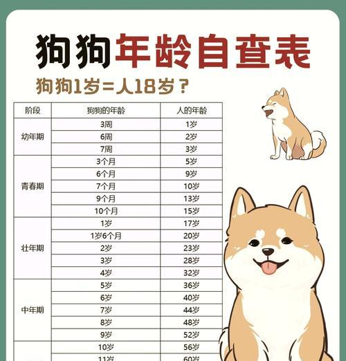 一生之中，一只狗可以生几次小狗？（狗的生育能力及其限制） - 新生家伴