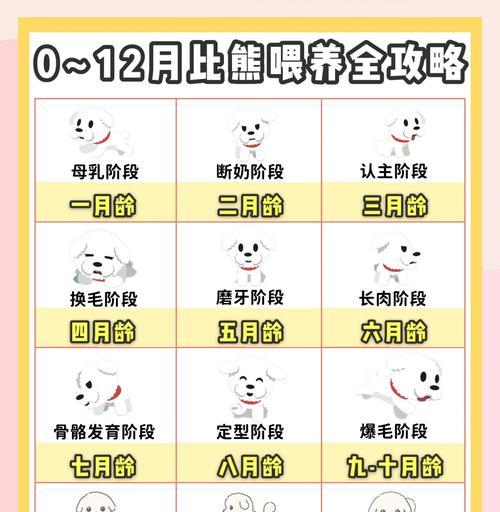 母狗下崽后的观察指南(了解母狗下崽后的行为与需求,帮助你更好地照顾她)(图3) 母狗下崽后的观察指南(了解母狗下崽后的行为与需求,帮助你更好地照顾她)(图3)