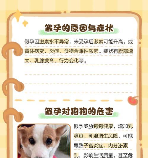 母狗下崽后的观察指南(了解母狗下崽后的行为与需求,帮助你更好地照顾她)(图2) 母狗下崽后的观察指南(了解母狗下崽后的行为与需求,帮助你更好地照顾她)(图2)