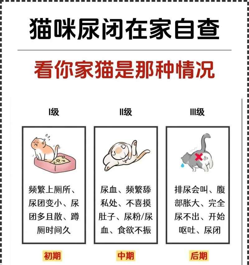 揭秘为何猫身上散发尿骚味(深入探索猫咪尿骚味的成因与解决方案)(图2) 揭秘为何猫身上散发尿骚味(深入探索猫咪尿骚味的成因与解决方案)(图2)