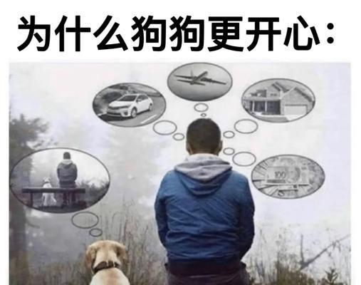 如何让狗狗保持静止不动（训练狗狗安静的关键技巧） - 新生家伴