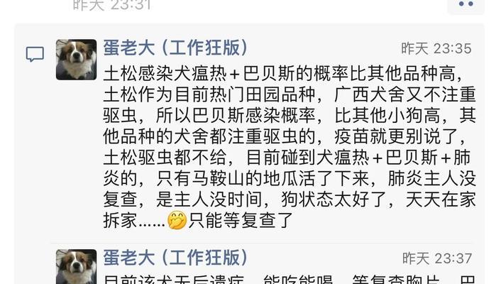 小狗瘟后的预防措施——让你的宠物健康快乐生活（细节决定成败，关键在于预防和保健）(图3)