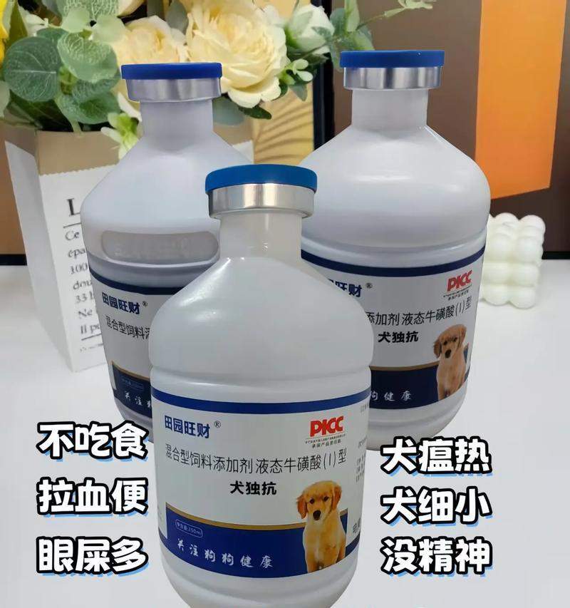 小狗瘟后的预防措施——让你的宠物健康快乐