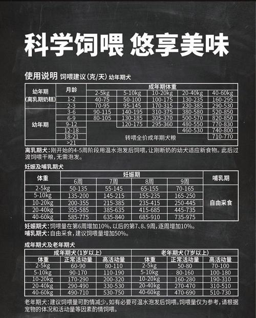 灰色泰迪狗粮推荐（为你的灰色泰迪选择合适的狗粮） - 新生家伴