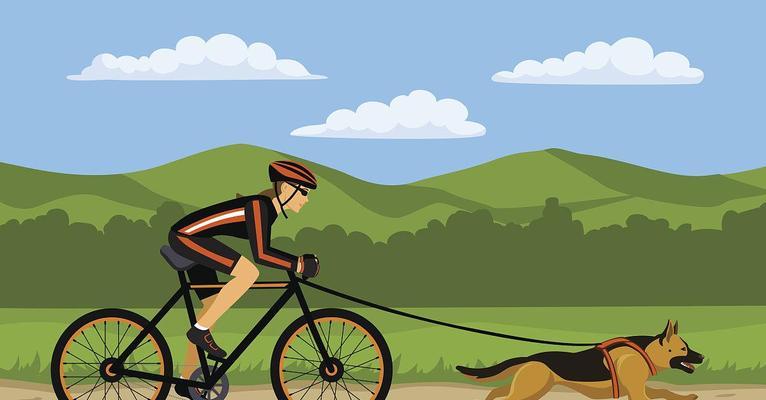 运动对狗的好处（促进健康和快乐的关键）(图2)