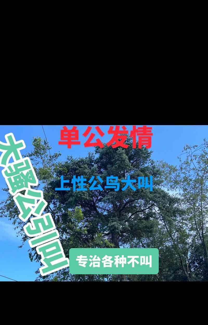 画眉鸟的叫声与意义（探索画眉鸟叫声的含义及其在自然界中的作用 - 新生家伴