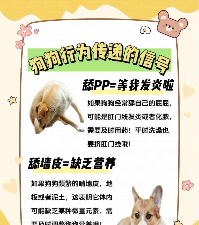 狗狗舔人手的意义（探索狗狗舔人手背后的行为和情感）(图2)