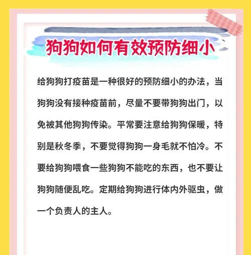 狗狗细小症状及预防措施（保护你的爱犬免受细小病毒的侵害）(图2)