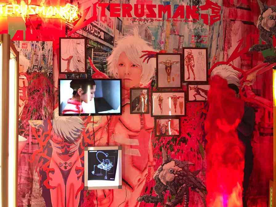 折耳猫的脾气性格解析（了解折耳猫的性格特点和行为习惯，成为它们的理解者）(图1)