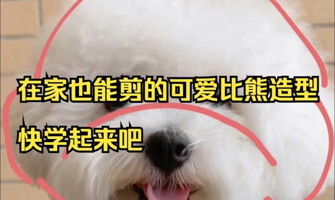 比熊胎毛修剪秘籍（如何修剪比熊胎毛，让它们保持可爱的外貌和健 - 新生家伴