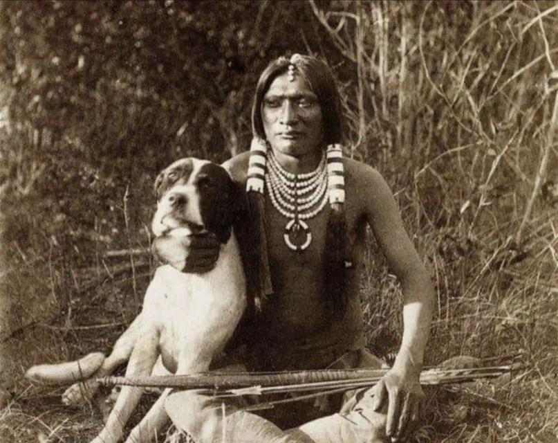 美国沃克猎犬（探索美国沃克猎犬的独特魅力与训练技巧）(图1)