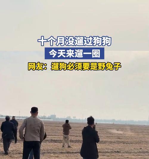不遛狗的危害及对社区的影响（探讨狗主不遛狗对环境、健康和社交的负面影响及应对措施）(图4)