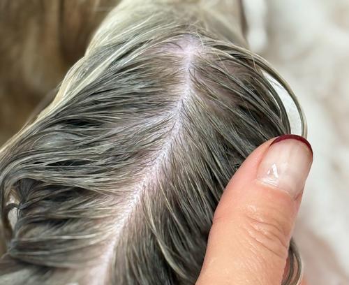 揭秘猫咪尾巴毛根部黄黄的秘密（探寻猫咪尾巴毛根部黄黄现象的原因和治疗方法）(图1)