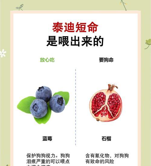 泰迪狗狗吃了葡萄会有什么后果？（葡萄中的毒素对泰迪狗狗的影响 - 新生家伴