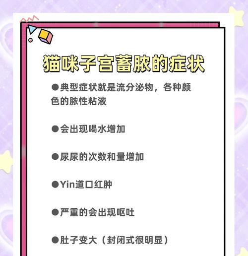 猫的子宫蓄脓（探究猫的子宫蓄脓对其生存的威胁，以及处理这一问 - 新生家伴