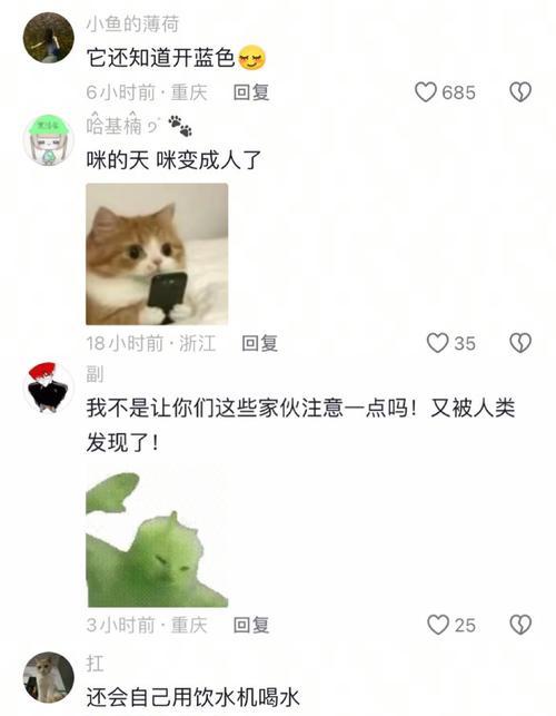 如何让猫喝更多的水？（提供适合猫咪的饮水环境和方式） - 新生家伴