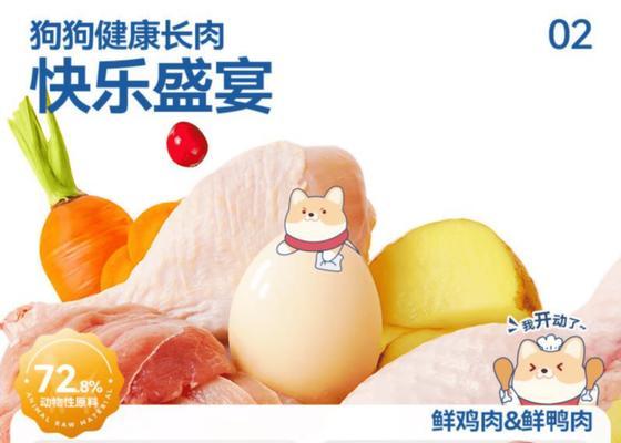 泰迪幼犬饮食常识（科学饮食如何助力泰迪幼犬健康成长）(图1)