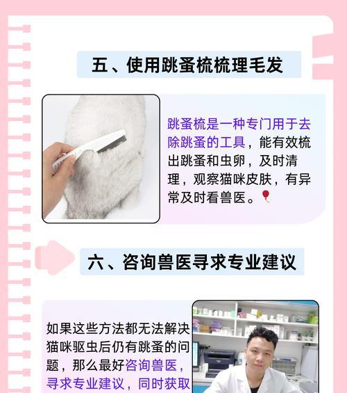 如何判断猫咪身上是否有跳蚤？（简单方法帮助铲屎官们发现猫咪跳蚤问题）(图3)