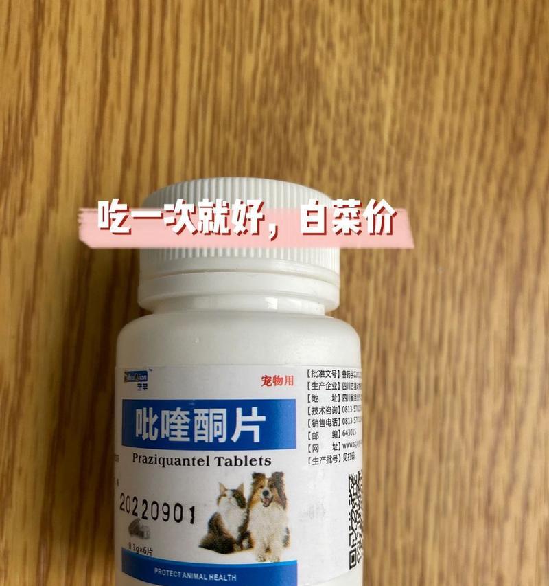 猫咪感染绦虫的原因及预防措施（了解猫咪感染绦虫的主要途径和如何保护它们的健康） - 新生家伴