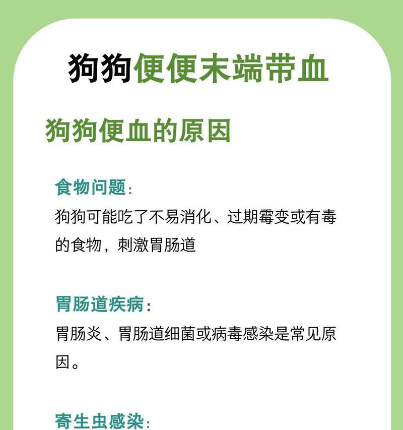 小狗如厕问题解决方案（教你如何处理刚买的小狗拉屎的问题）(图1)