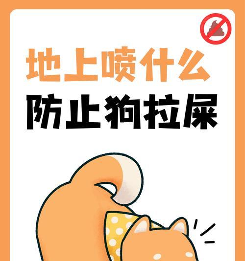 小狗如厕问题解决方案（教你如何处理刚买的小狗拉屎的问题）(图2)