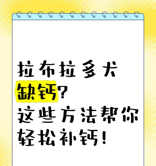 狗狗不一定缺钙！正确了解补钙需求（解读狗狗的补钙迷思与正确的饮食安排）(图3)