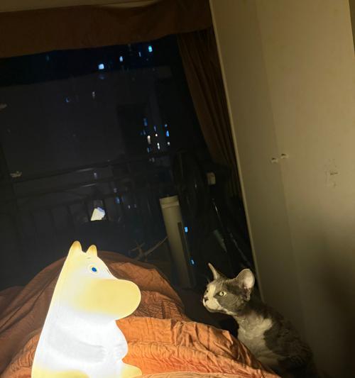 夜晚中猫咪的神秘行为（探究猫咪对着某个地方长时间叫唤的原因）(图3)