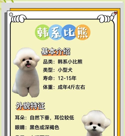 比熊的饮食清单大公开（探秘比熊最喜欢的食物，帮助你了解如何科学喂养你的宠物）(图3)