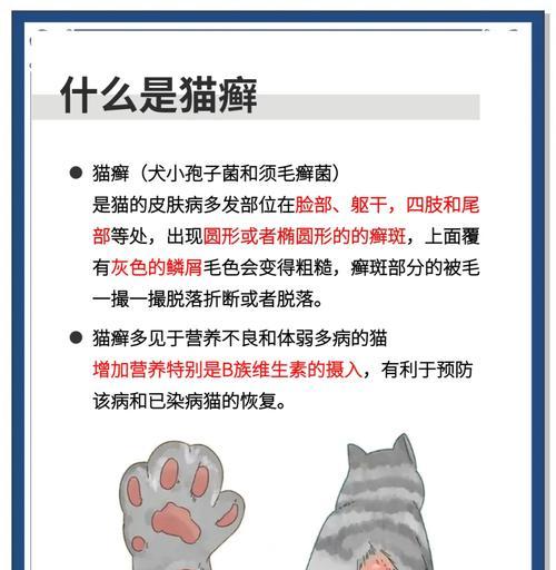 让猫喜欢使用猫砂的秘诀（培养猫咪使用猫砂的好习惯）(图1)