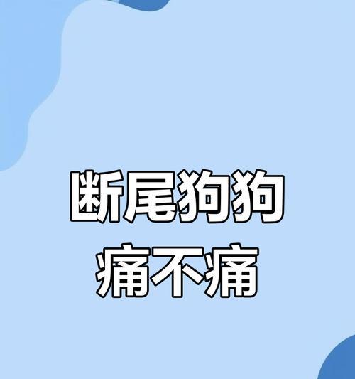 小狗断尾的必要性与方法（为了宠物的健康和安全，断尾是必要的）(图2)