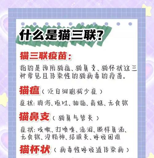 猫疫苗（疫苗接种周期及关键因素分析） - 新生家伴