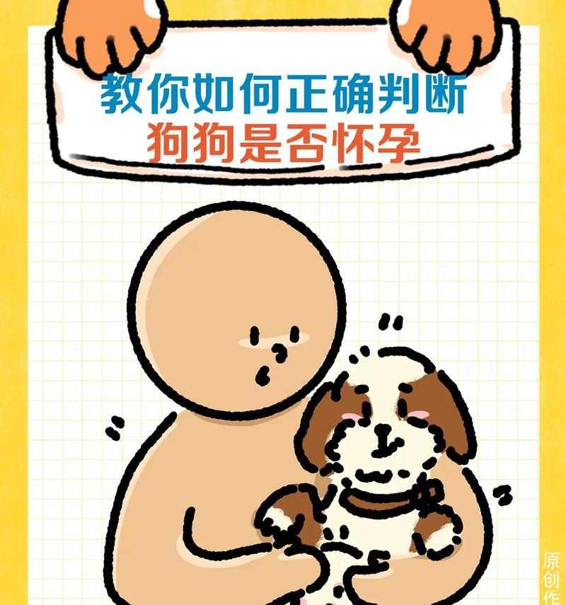 狗狗怀孕的时间有多久？（揭秘狗狗的怀孕周期及相关知识）(图2)